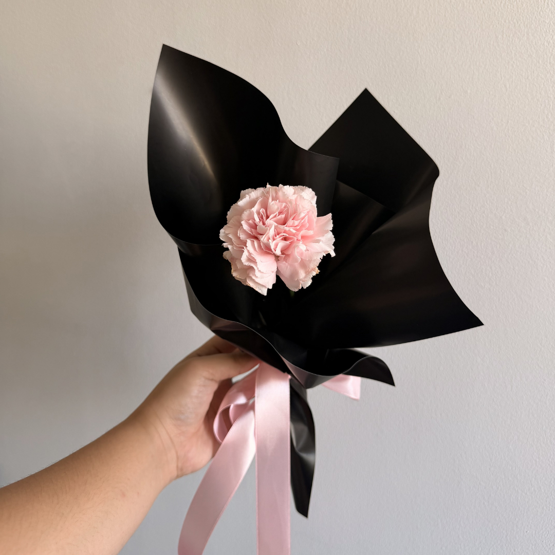 Single Carnation