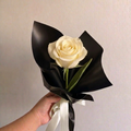 Single China Rose